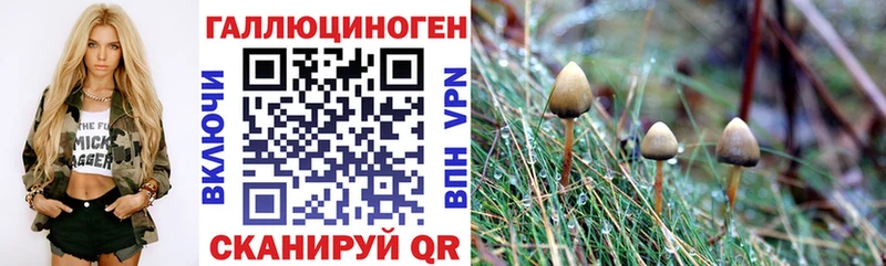 купить наркотики сайты  Вытегра  ОМГ ОМГ ONION  Галлюциногенные грибы Psilocybe 